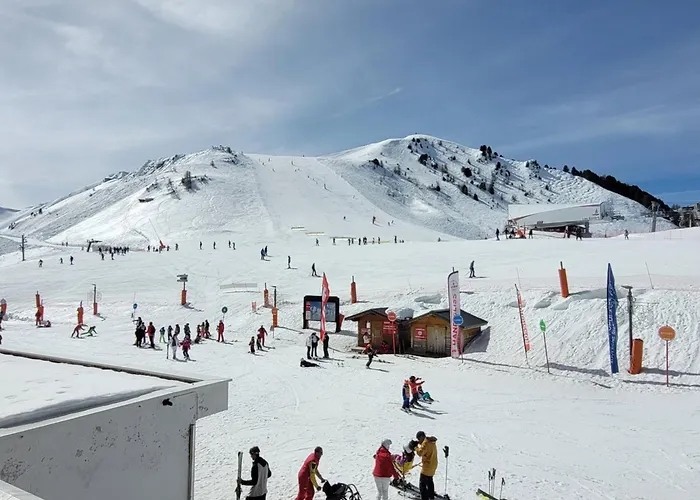 Lägenhet Fonctionnel Au Pied Des Pistes, Animaux Admis - Fr-1-181-2599 La Plagne